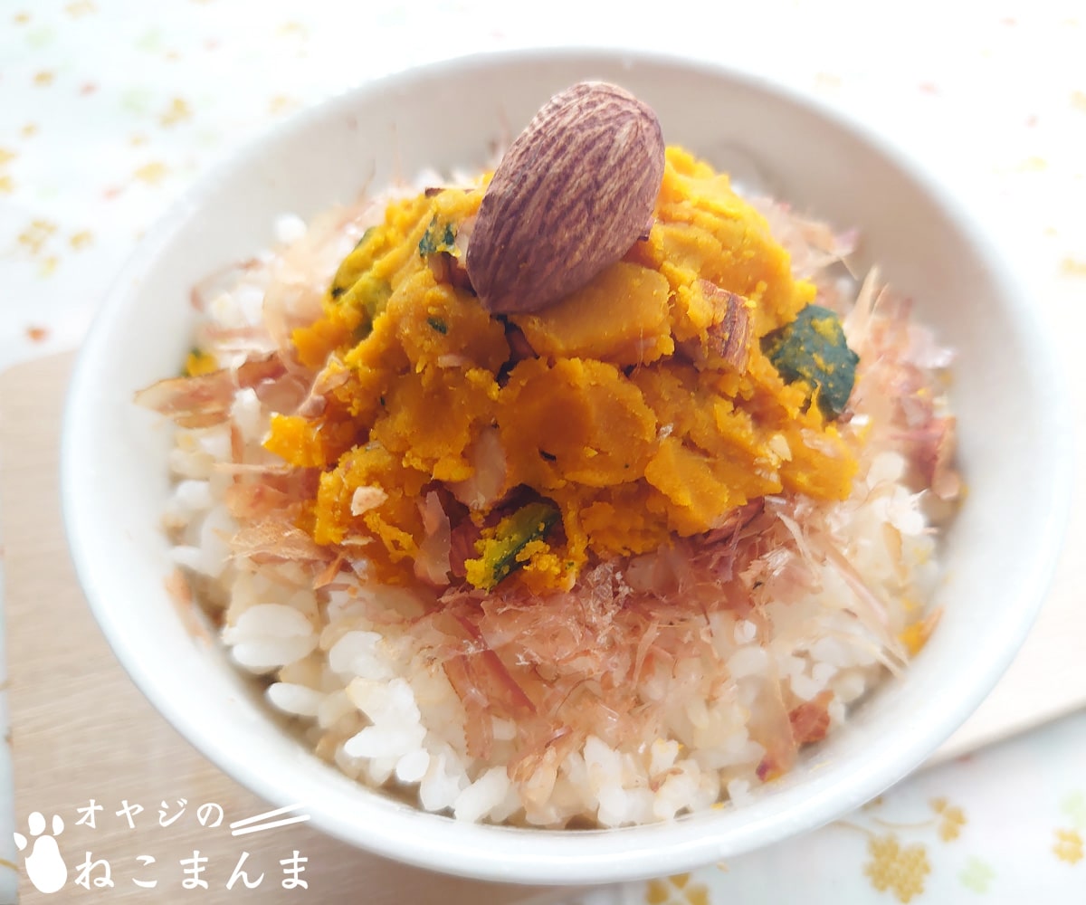 かぼちゃまんま